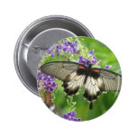 Legende des Schmetterlings-Knopfes Button