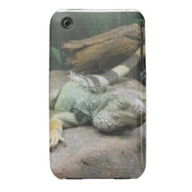 Leguanipod-Kasten iPhone 3 Case-Mate Hülle