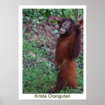 Lehnen Sie Tyranne - Krista Orang-Utan ab Posterdrucke
