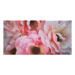 Leichte rosa Rosen-Blüte - Blumenphotographie Bilderkarten