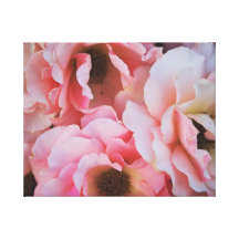 Leichte rosa Rosen-Blüte - Blumenphotographie Galerie Falt Leinwand