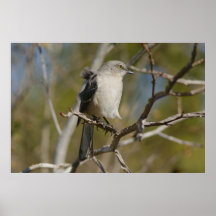 Leichter Schlag Plakat