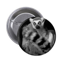 Lemur Anstecknadelbutton