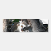 Lemurs-Essen Autosticker