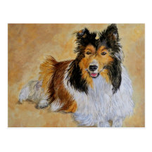 Lenny das Sheltie Postkarte