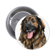 Leonberger Kopf-Studie Button