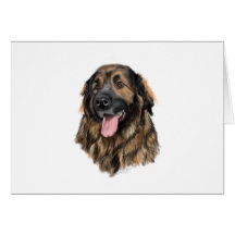 Leonberger Kopf-Studie Grußkarten