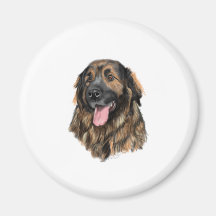 Leonberger Kopf-Studie Magnets