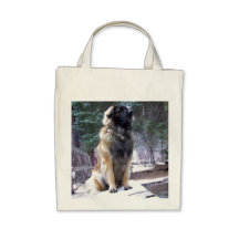Leonberger Lebensmittelgeschäft-Tasche