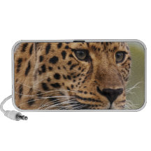Leopard-Foto Mp3 Speaker