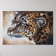 Leopard portraite plakatdrucke