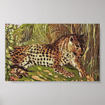 leopard poster
