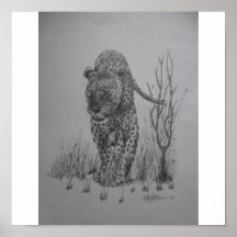 Leopard Posterdrucke