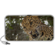 LeopardCheetaro009 iPhone Lautsprecher