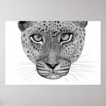 Leopardplakat