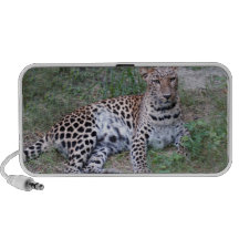 LeopardSundari_002 Laptop Lautsprecher
