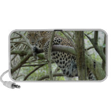 LeopardSundari_005 Laptop Speaker