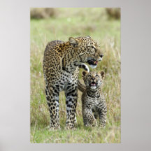Leoprads Poster