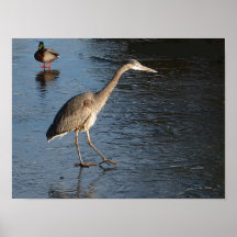 Lernen, auf Wasser zu gehen Plakat