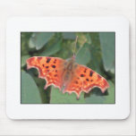 Leuchtorangeschmetterling. Komma Mauspads