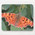 Leuchtorangeschmetterling. Komma Mousepads