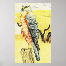 Levant Sparrowhawk Plakatdrucke