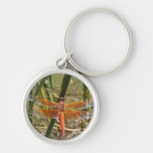 Libelle Keychain Schlüsselband