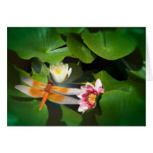 Libelle Lotus #4488 Karte