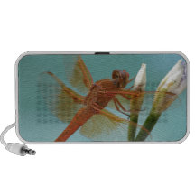 Libelle Mobile Lautsprecher