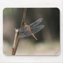 Libelle Mousepad mauspads