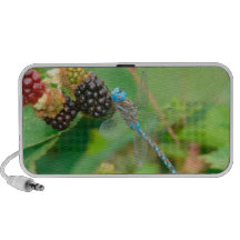 Libellen-Himbeergekritzel speeker Notebook Speaker