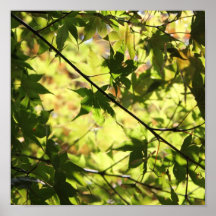 "Licht" Plakat