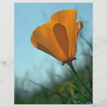 Licht und Schatten Flyer