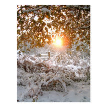Licht und Schnee Postkarte