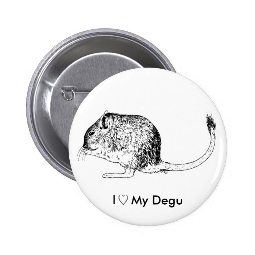 Liebe Degus - Stifte Anstecknadel