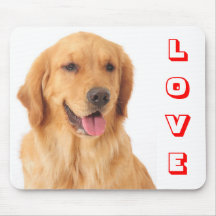 Liebe-goldener Retriever-Welpen-Hundeporträt Mouse