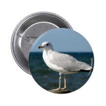 Liebe I Seemöwen! Anstecknadelbutton