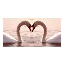 Liebe I Sie Photo Grußkarte
