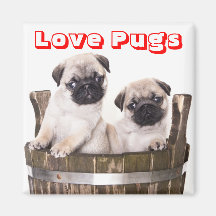 Liebe-Mops-Welpen-Hunde im hölzernen Fass-Kisten-M
