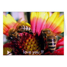 Liebe Sie Valentines Karten