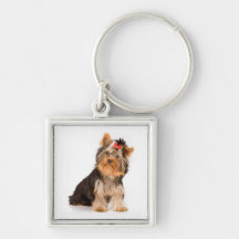 Liebe-Yorkshire-Terrier-Welpen-Hundeschlüsselkette Schlüsselband