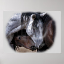 Liebevolle Paare Plakatdruck