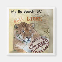 Liger Magnet - Myrtle Beach, Sc Kühlschrankmagnete