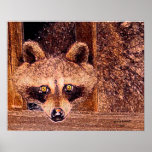 Lil Bandit von Arkansas Poster