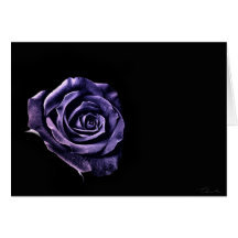 Lila blaue Rose Valentinekarte