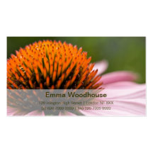 Lila Coneflower | Sonnenhut Visitenkarten