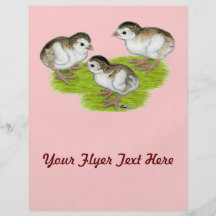 Lila Guinea Keets Flyer