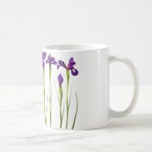Lila Iris abgeschieden auf einem weißen Hintergrun Kaffee Tassen