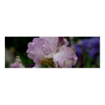 Lila Iris Visitenkartenvorlagen
