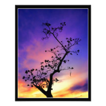 Lila Leidenschaft Photographischer Druck